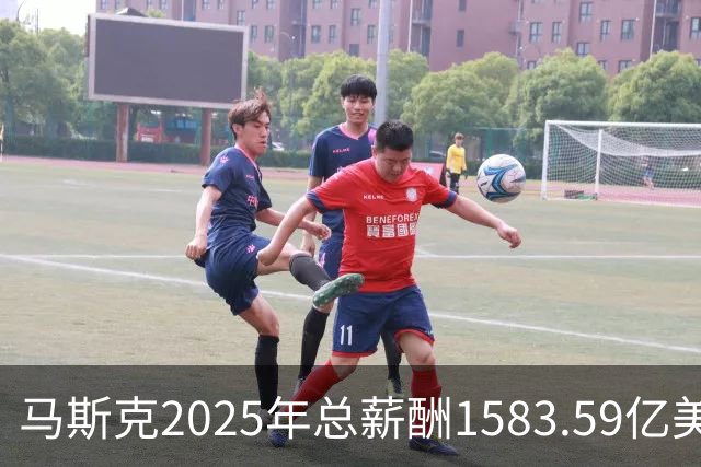 马斯克2025年总薪酬1583.59亿美元 全部以股票奖励形式发放